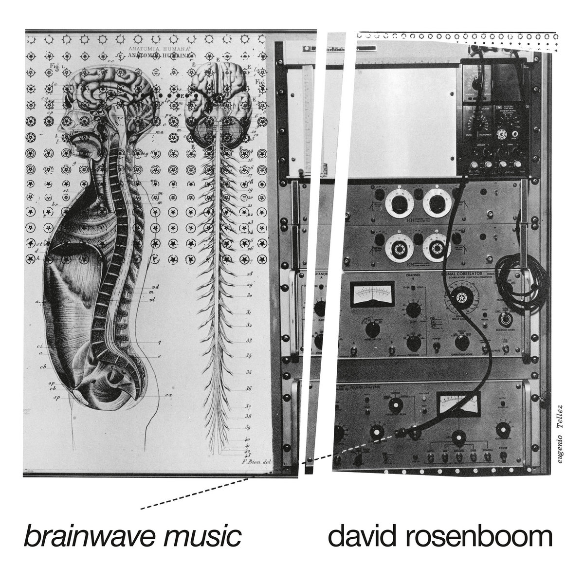 Cover artwork of David Rosenboom's *Brainwave Music*. This release is a collection of Roseboom's compositions with EEG and other biofeedback hardware. Image courtesy of Black Truffle record label.