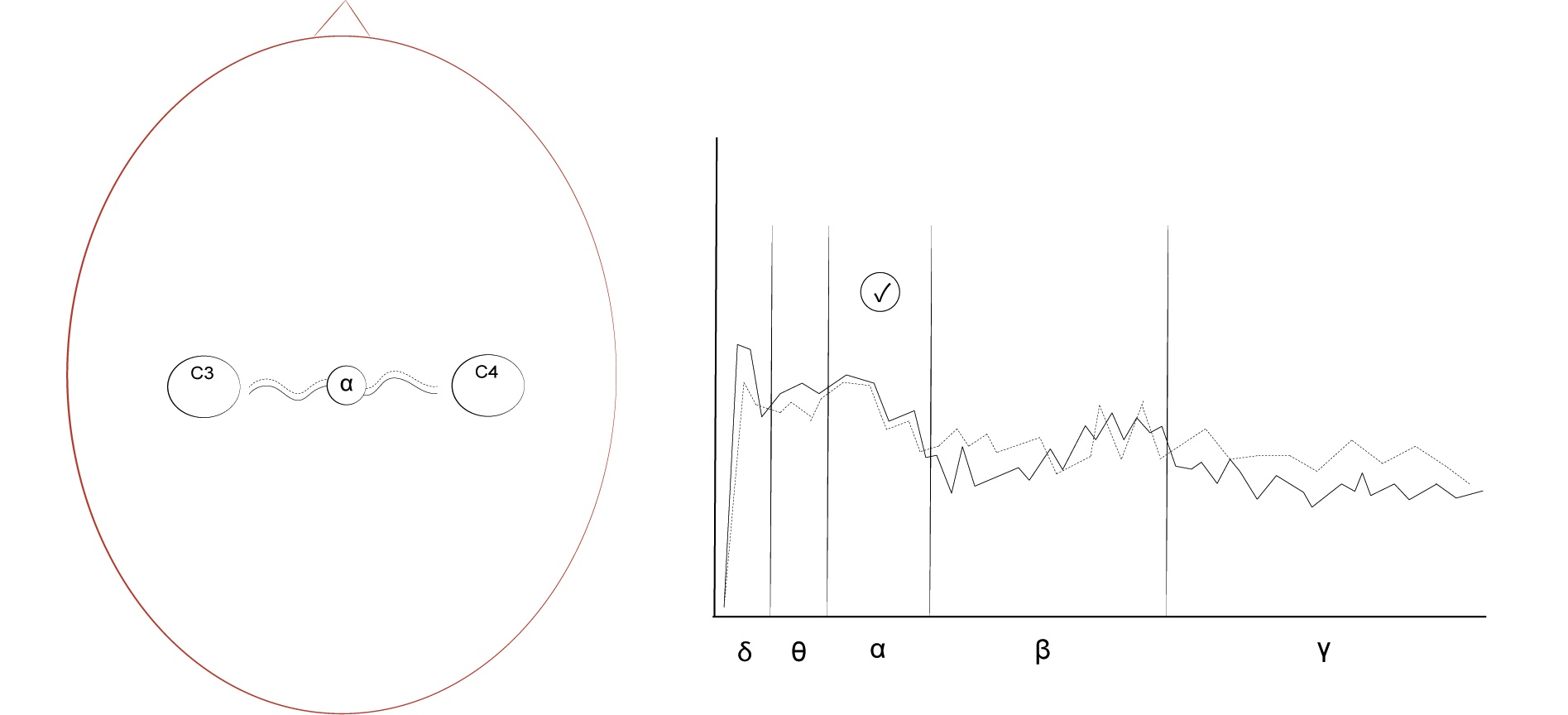 An alpha-phase synchrony protocol's electrode location (left) and spectral plot (right) show reward given when alpha between C3 and C4 are in phase.